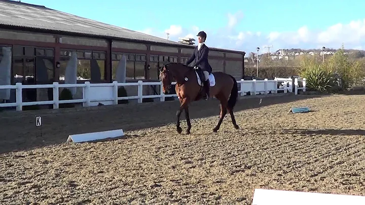 Vollie dressage