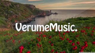Steerner, Wholm & Blume - Polar @VerumeMusic