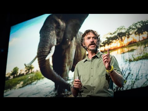 How we're saving one of Earth's last wild places | Steve Boyes