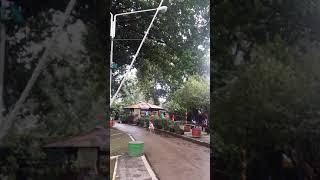 BAYI Terjun BebAS