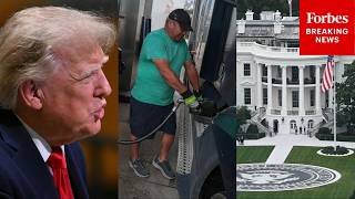 White House Reportedly Denies It’s Working On Diesel Export Ban Trump Wants