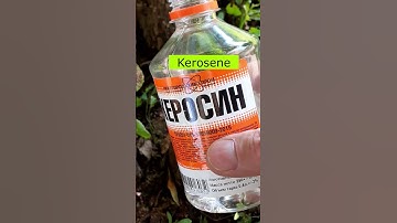 Remove Tree Stump Easy Way