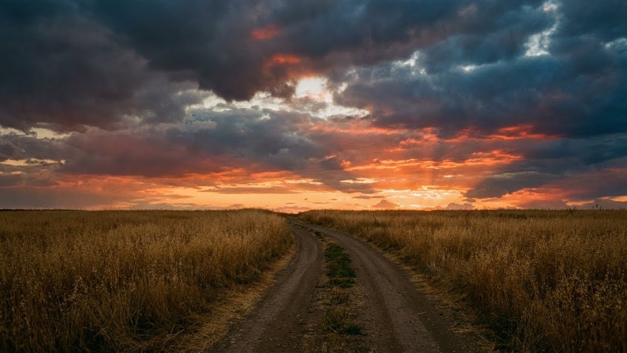 «РАЗВЕ ТОЛЬКО ДОМОЙ...» Песня, в которой вся жизнь.