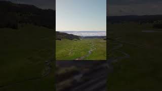 ⨀ Distant Train and Nocturnal Sounds ⨀ Listen and Relax #trainsounds #trainsoundsforsleeping