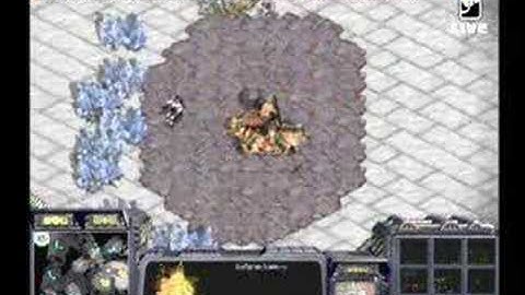 JulyZerg Mutalisk Micro