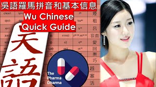 Wu Chinese Pinyin Quick Guide 吳語拼音快速指南 (French-Wu Chinese System)