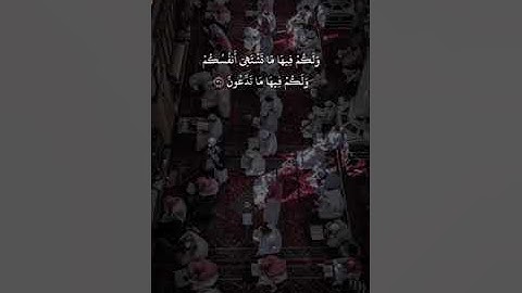 تلاوة خاشعة من سورة فصلت - الشيخ سعود الشريم