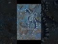 The Master of Camouflage, the octopus and his superpower. Ocean magic.#ocean #octopus #super #power