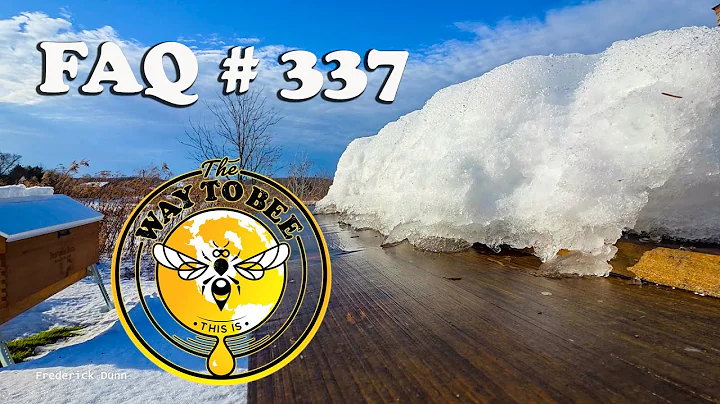 Backyard Beekeeping Q&A 337 December 19th 2025 Legal VS Illegal Miticides and more.