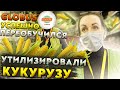 ПРОСРОЧКА НА МЕСЯЦ В ГЛОБУСЕ / МАГАЗИН ПЕРЕОБУЧИЛСЯ ТОЛЬКО ПОСЛЕ ОФОРМЛЕНИЯ С ПОЛИЦИЕЙ