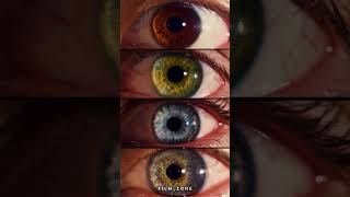 The Eyes Of CINEMA #filmzone #movie #beautiful #love #filmanalysis #magic #moviereview #cinema