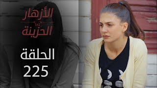 مسلسل الأزهار الحزينة | الحلقة 225 - الموسم الثاني