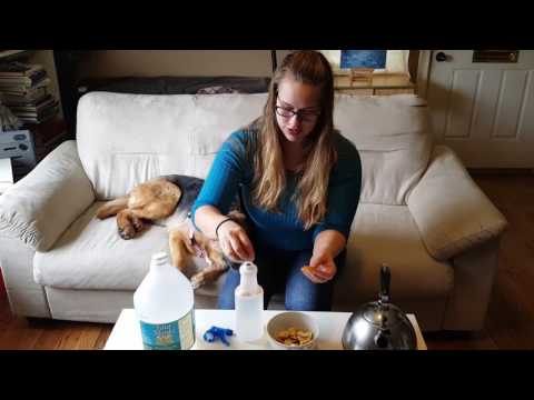 homemade,-pet-friendly,-&-natural-cleaning-product