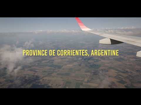 Province de Corrientes, Argentine