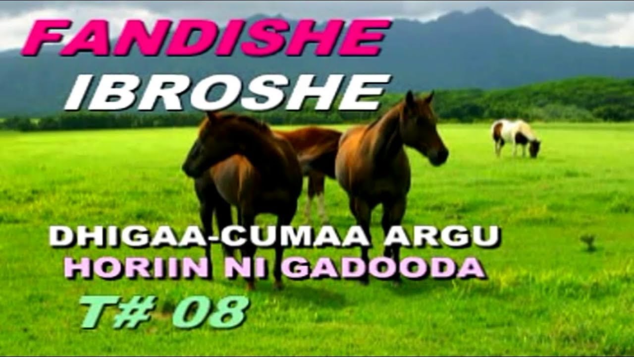 FANDISHE M Track 08 DHIIGAA CUMAA ARGU BEST OROMO Music