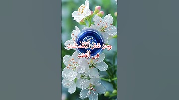 #سورة_الفلق #اكسبلور #القزابري #duet #المصحف #دويتو #الرحمن #تيك_توك #الورقات #صباح_الخير #البرزخ