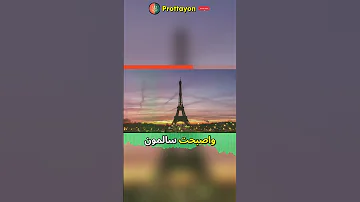 دور النساء في المقاومة الفلسطينية تاريخ من النضال والتضحية 