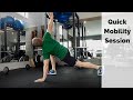 Quick Mobility Session