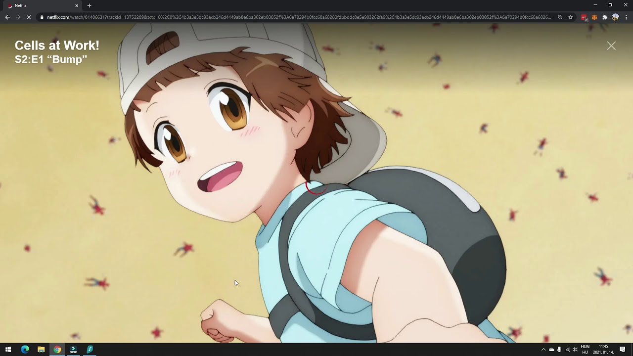 How to watch Cells at Work season 2 on Netflix? 