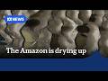 Depth of major Amazon tributary in Brazil drops to record low in severe drought | The World