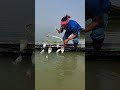 Catfish trap by agg huke and bottle for big fishing