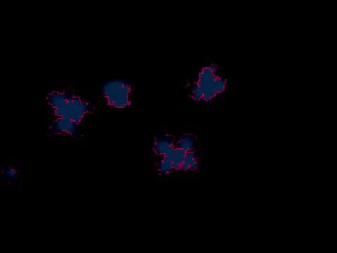 Experimental Light Transport