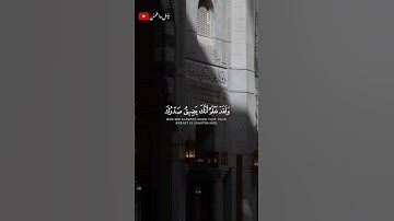 تلاوة عذبه ومؤثره للشيخ فارس عباد 🎧❤️🩹 #طمئن_قلبك #أرح_سمعك_وقلبك #اكسبلور #راحة_نفسية #قران_كريم