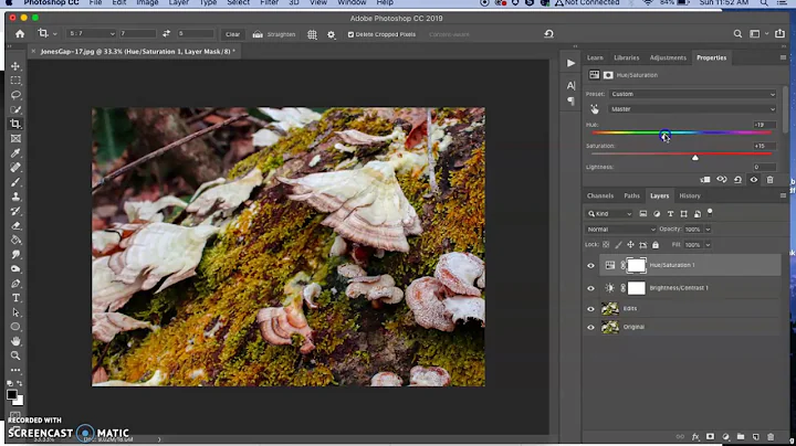 Editing 101   Sara McGregor