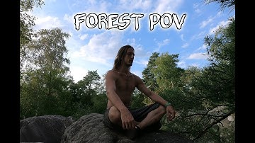 Forest POV | Fontainebleau Forest Parkour