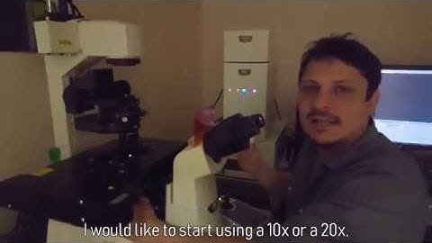 Confocal Microscopy Tutorial (Part 2): Operating the Microscope Visually