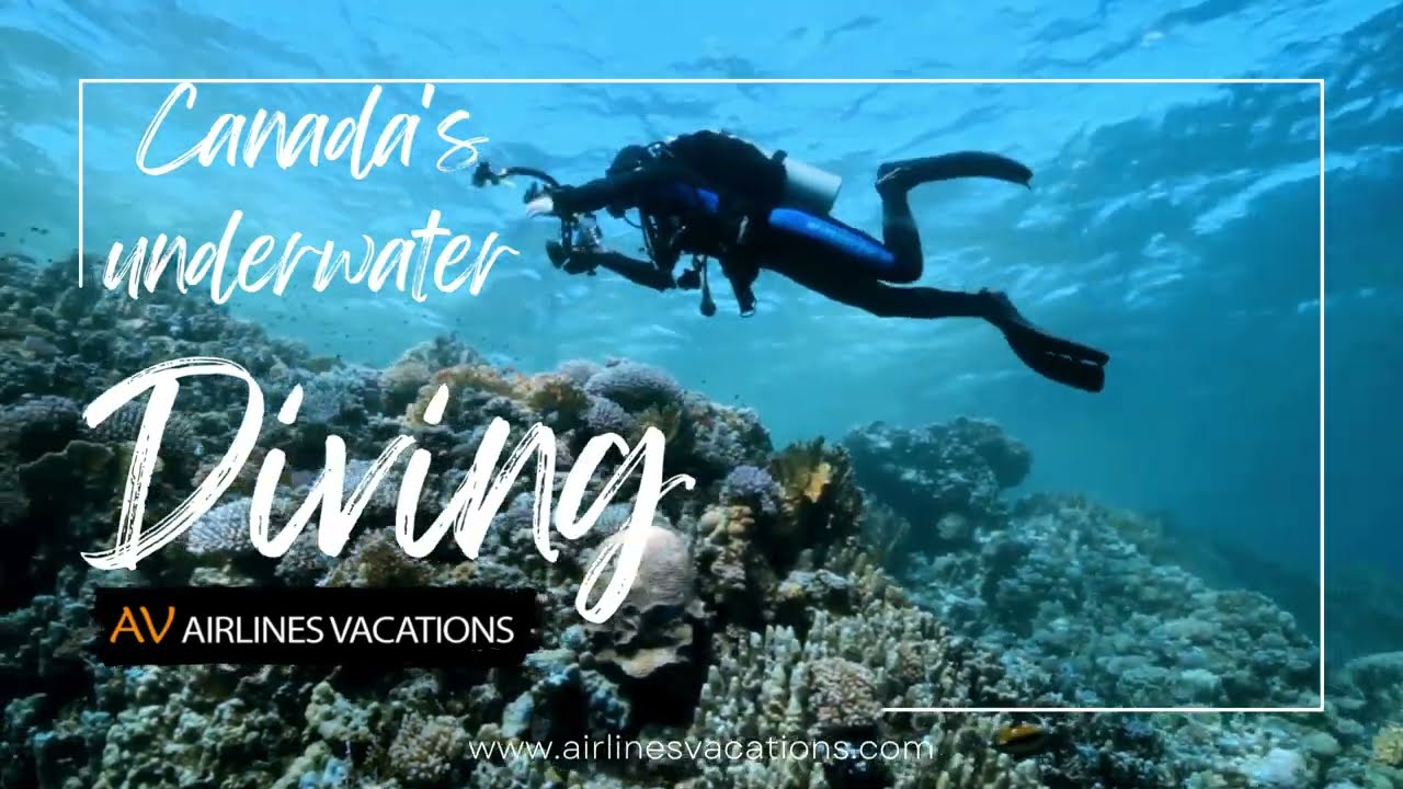 Best scuba diving in Canada