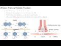 Wobble Pairing