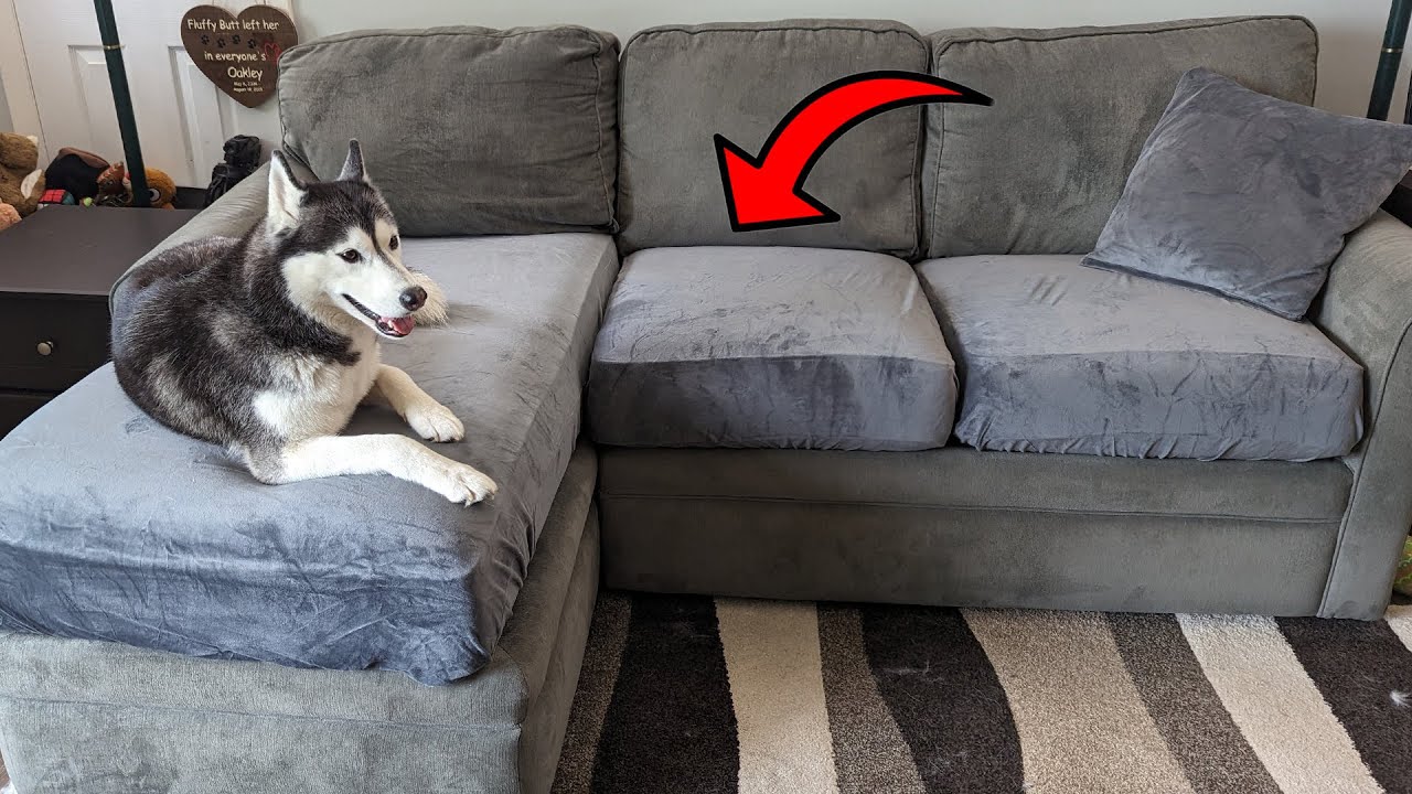 How To Stop Couch Cushions From Slipping Easy Inexpensive Hack 