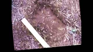 M.K.Davis takes a closer look at the tracks in the Paul Freeman video