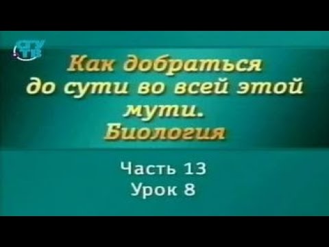 Биология для чайников. Урок 18. Генетика. Кроссинговер и другие чудеса