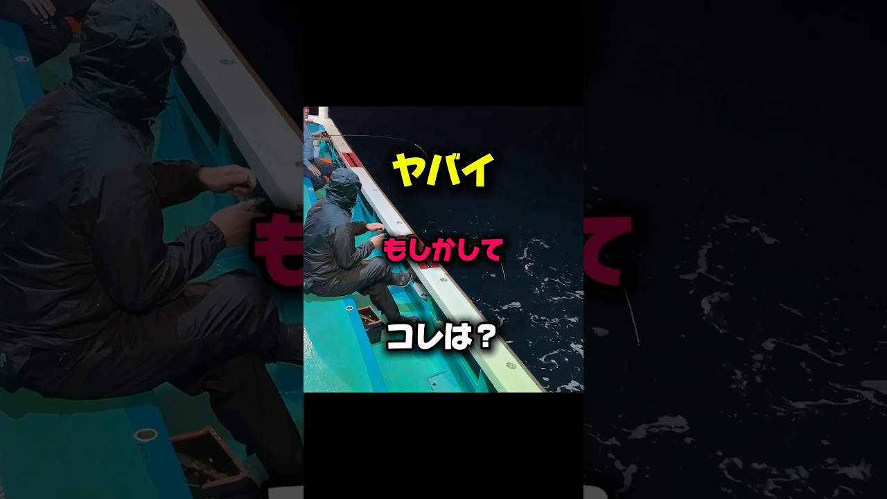 【釣り🦑】ヤバイもしかしてコレは？　#釣り #おすすめ #アウトドア