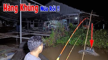 Mồi câu cá tra, cá dồ đém, cá cóc trên bè - Kỳ lạ lại dính cá mù - | T 354