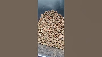 Trial roasting Vietnam Honey Robusta Coffee Bean with roasting machine from Korea 🇰🇷 🇰🇷