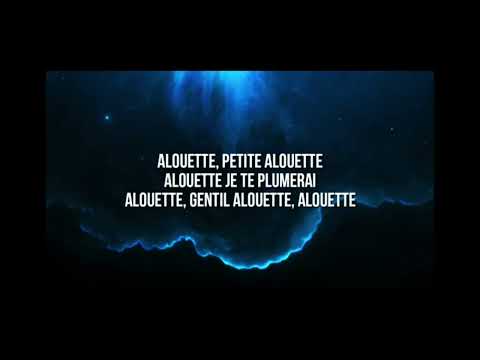 Naza-Souris verte (