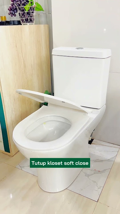 Rekomendasi Kloset Duduk Di Bawah 2jt!!😍