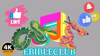 Ebibleclub Music 🎶 🎵 ● ( SNAKE 🐍 MIX) ● Classroom Instrumental #ebibleclubmusic #snakes #reggaevibes