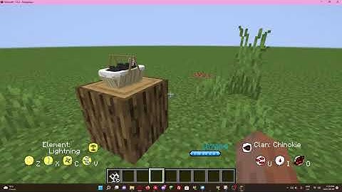 How to make Text Procedure display different Player Names | MCreator