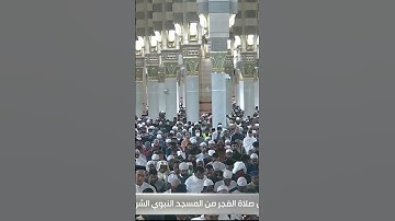 فواتح سورة القلم|عبدالله القرافي