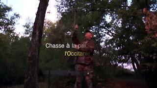 Chasse à la palombière, l'occitanie