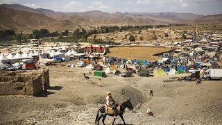 Morocco celebrates Festibaz donkey festival