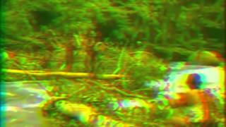 Deerhunter - Calvary Scars Aux II (Fan Music Video