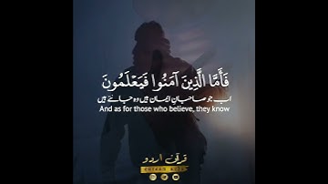 📖✨إن الله لا يستحي أن يضرب مثلا🕯️سورة البقرة:٢٦|رضوان أبو قدوة|Surah al Baqarah:26|Ridwan Abu Qudwah