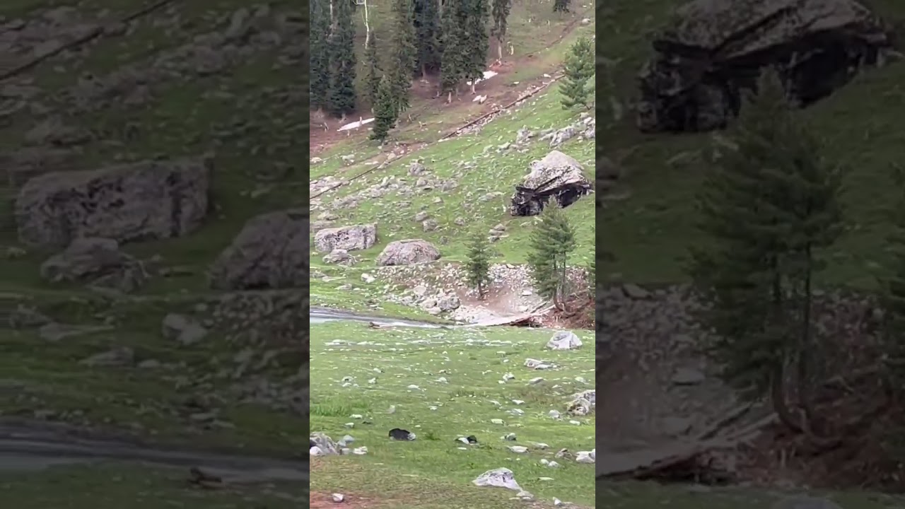 Beautiful tourist places in Pakistan #astorvalley #gilgitbaltistan #skarduvalley #bashovalley