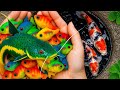 Amazing Catch! Mini Colorful Aquarium Fish in Tiny Pond, Abalone, Octopus, Crab & Blue Guppies