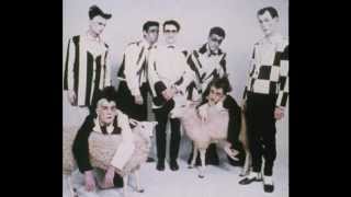 Split Enz - Live At Pauls Mall - 08 - The Woman Who Loves You - 2nd March 1977